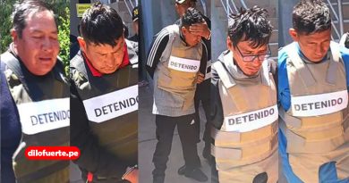 Cinco peligrosos delincuentes y un menor capturados en Juliaca durante presunto reglaje y robo